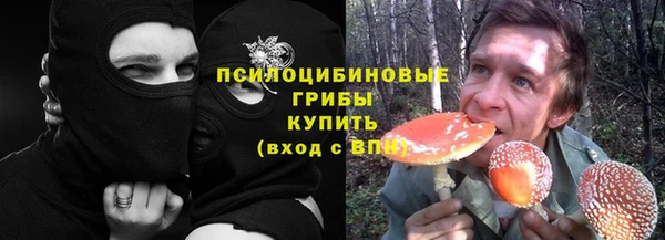 прущая мука Богданович