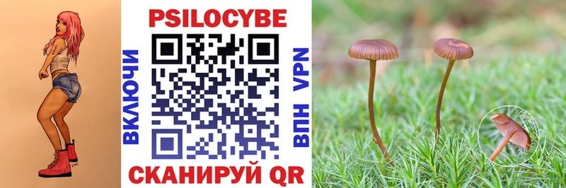 Псилоцибиновые грибы MAGIC MUSHROOMS  Валуйки 