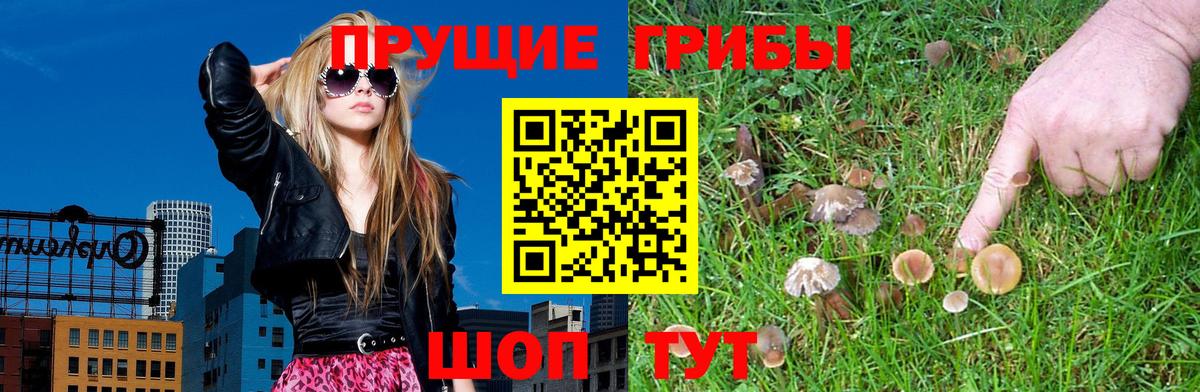 Валуйки  Вход с VPN  Кокаин  Лсд 25  ЭКСТАЗИ  МЕФ кристаллы  ГАШИШ  Каннабис 